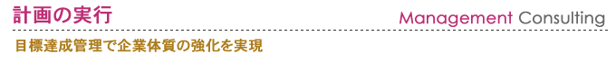計画の実行　目標達成管理で企業体質の強化を実現